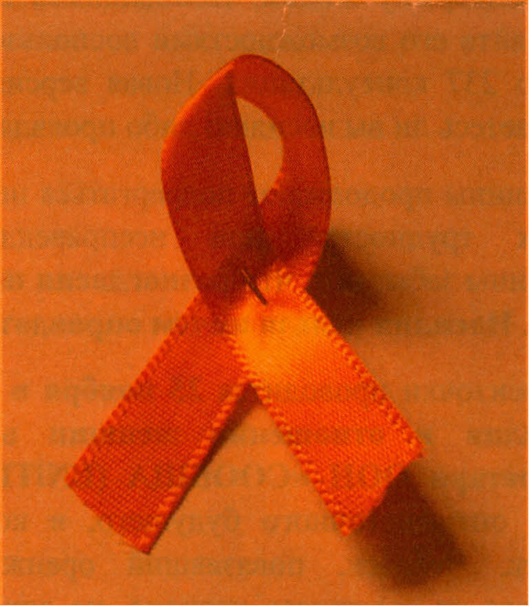 Оранжевая кампания, ostanovinasilie.org